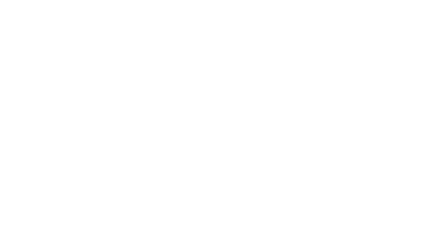 SWAN Logo